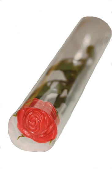 Rote Rosen in Tube - 1 Stück