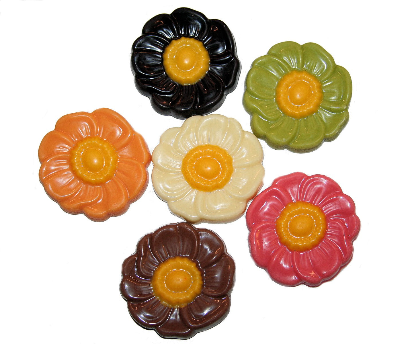 Schokoladenanemonen 2,5 Kilo