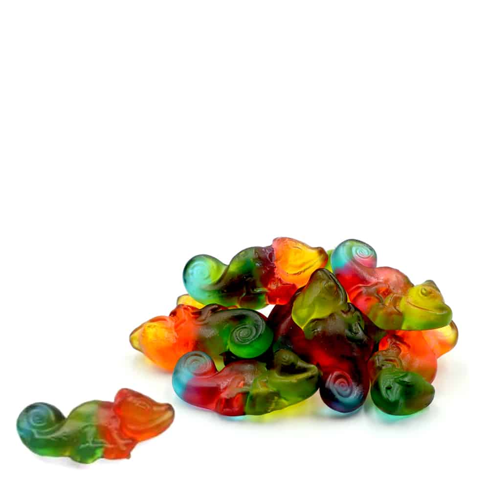 Haribo Chamäleon 1kg