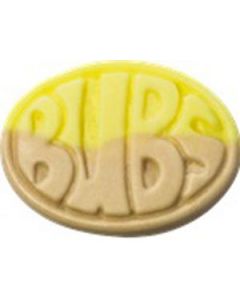Bubs Banana Caramel 2.8 Kilo